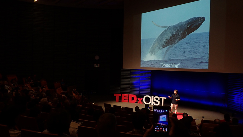 ザトウクジラ研究に関する講演がYouTubeで配信されています