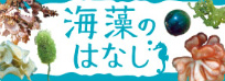 海藻のはなし