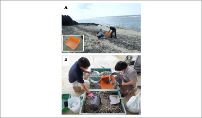 写真-1 A軽石採取と「てみ」、B篩分け作業