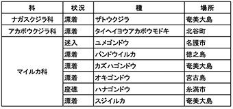 表−１　ストランディングが確認された鯨類