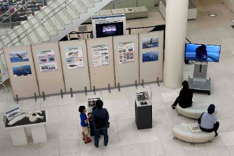 写真-2沖縄県立博物館でのザトウクジラ特設展の実施