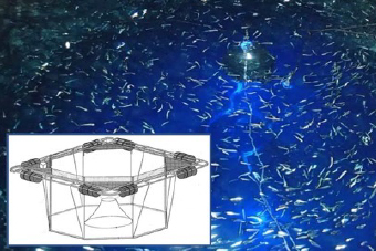 写真-3 装置の概要と集魚状況