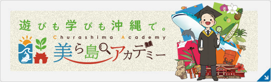 美ら島アカデミー