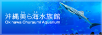 沖縄美ら海水族館