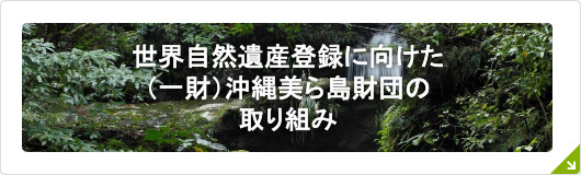 世界遺産の取り組みについて