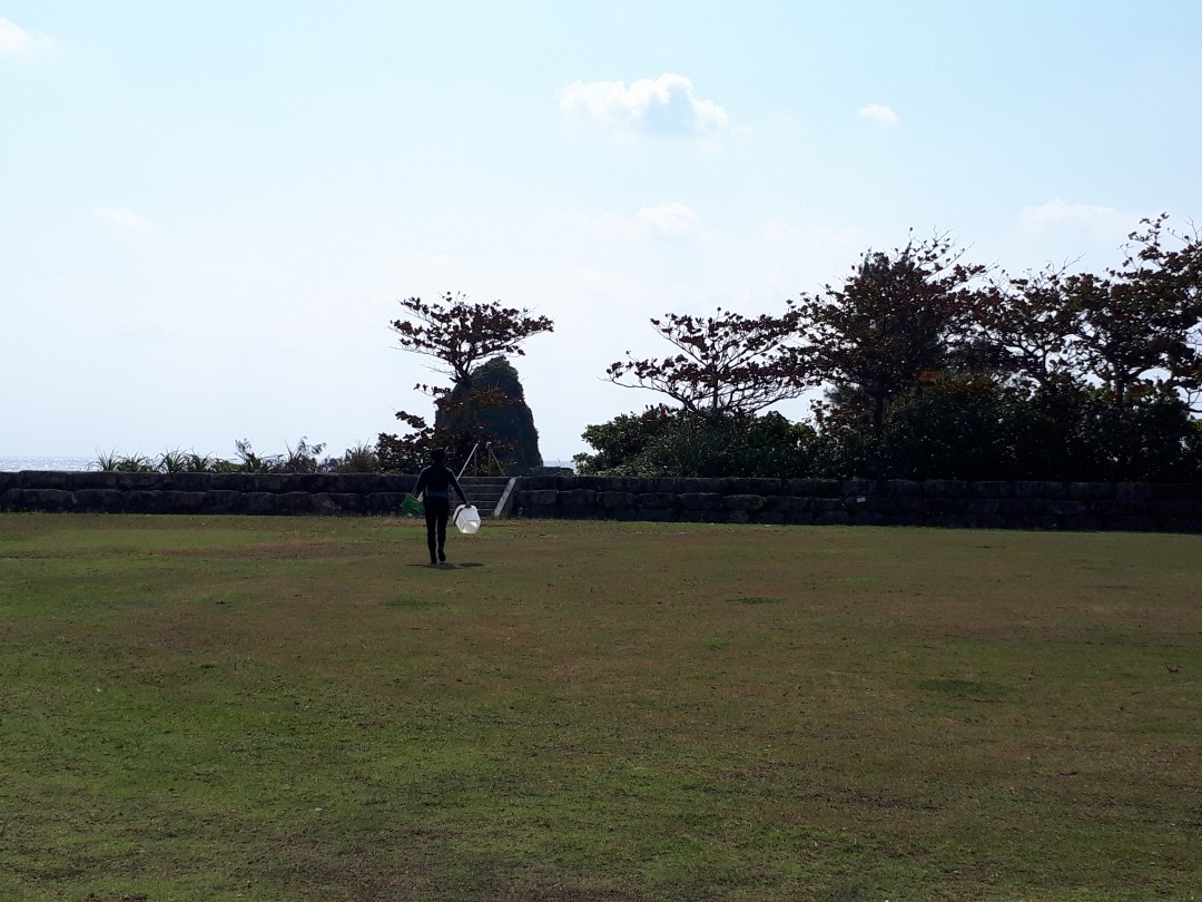 ある日の学校～海藻教室についてテレビ取材がありました～