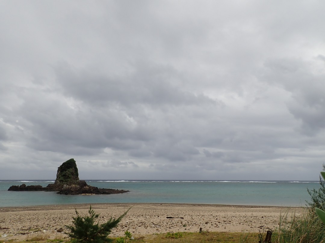 今日の嘉陽海岸