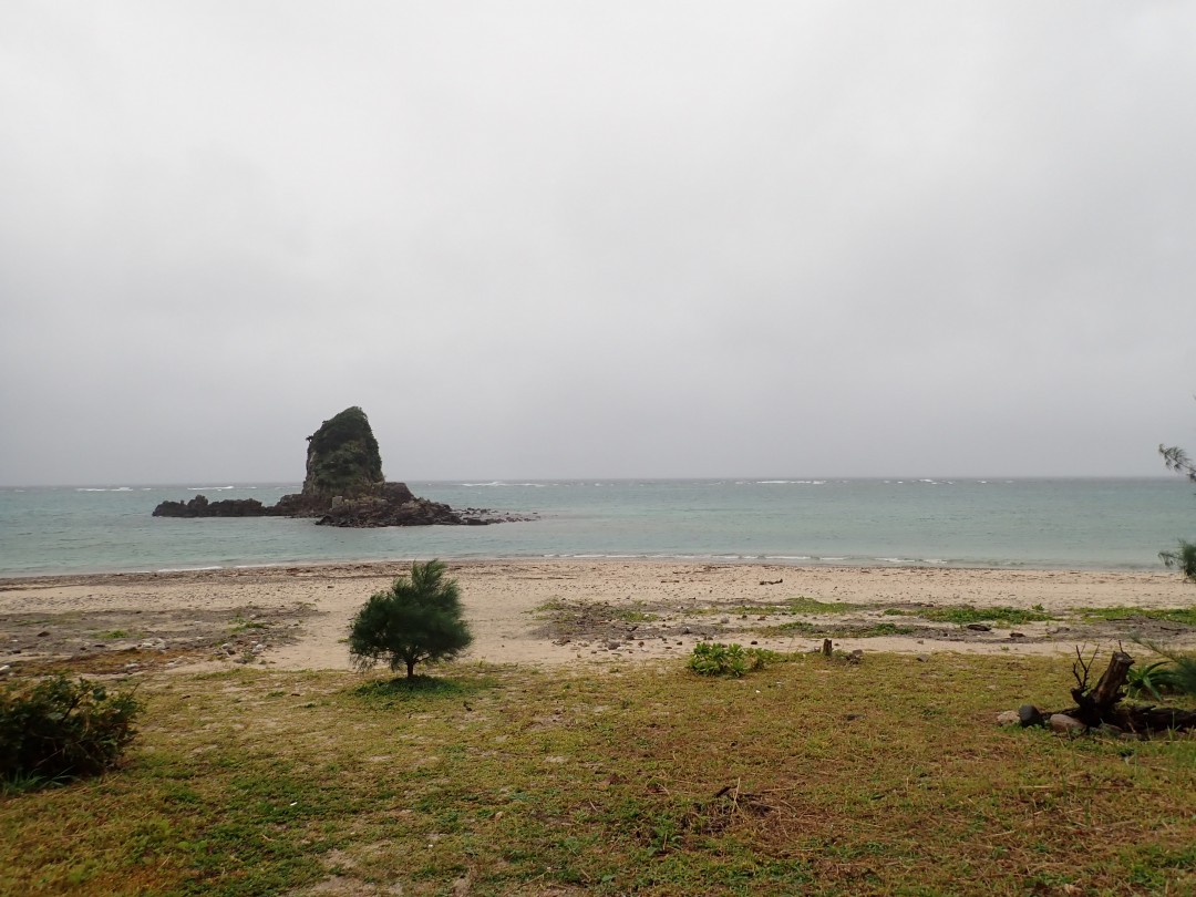 今日の嘉陽海岸