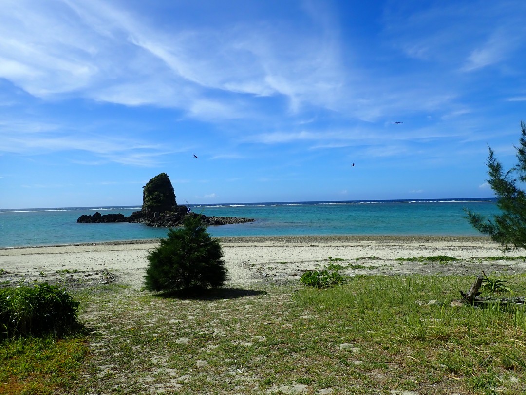 今日の嘉陽海岸