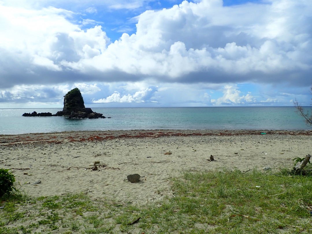 今日の嘉陽海岸