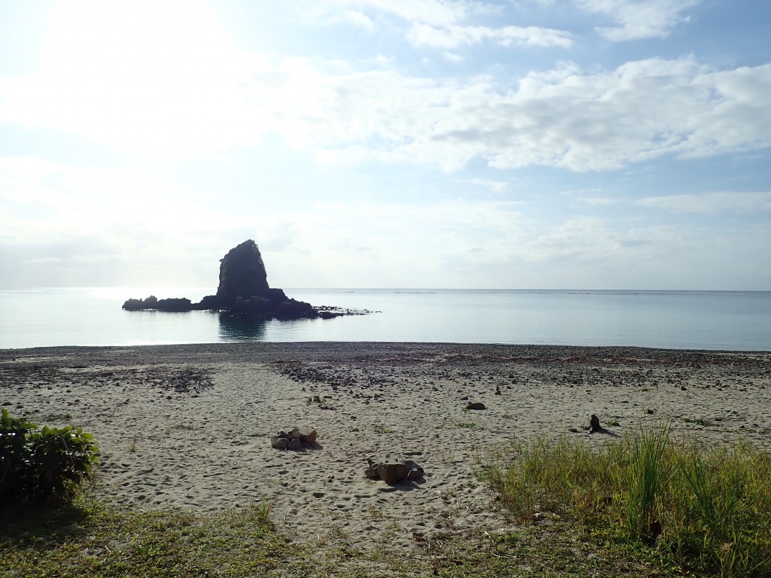 今日の嘉陽海岸