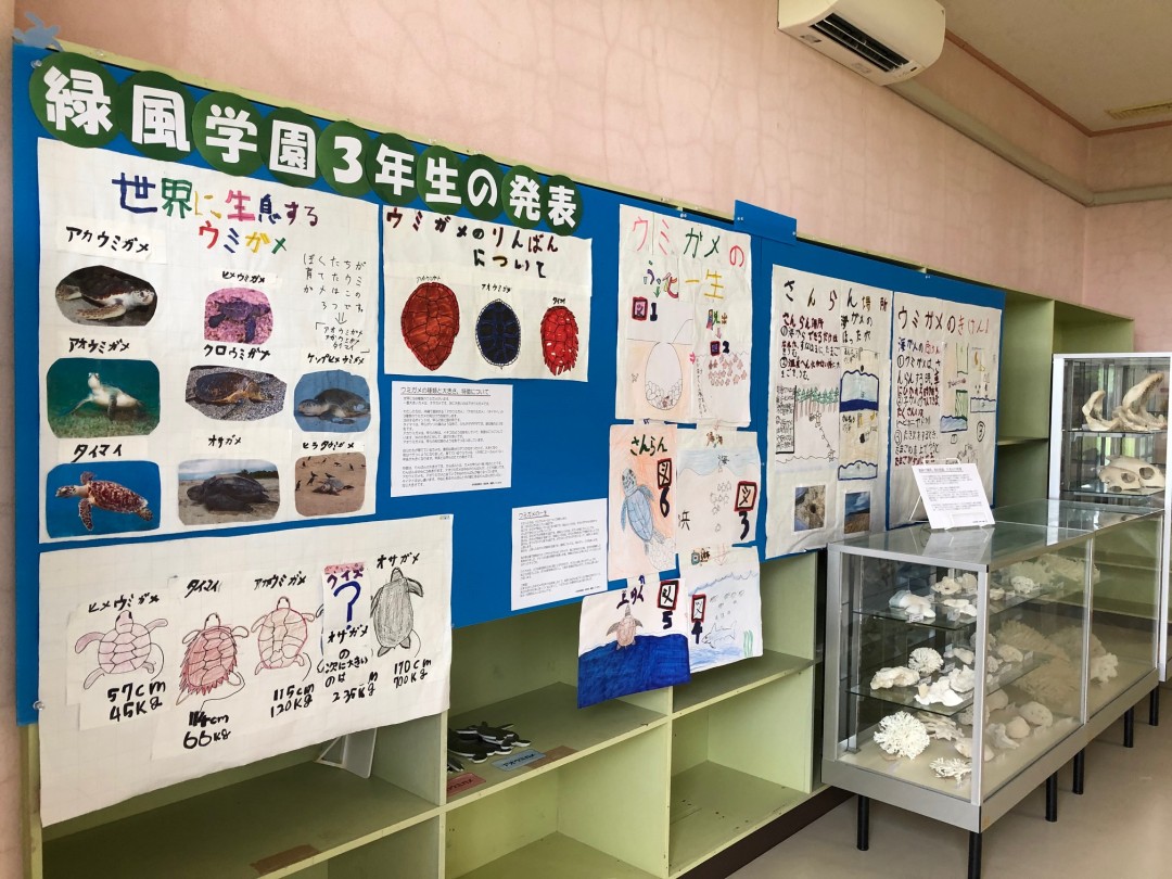 展示中です！！