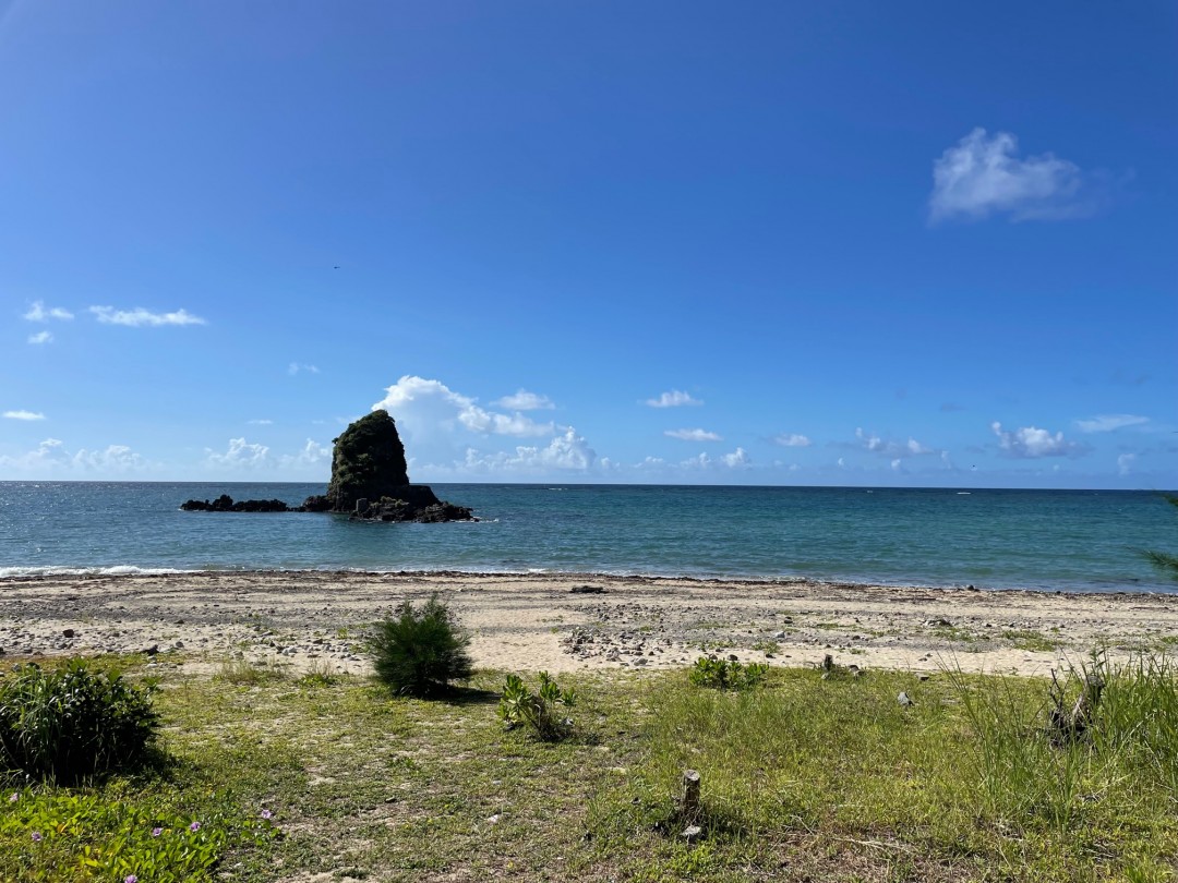 今日の嘉陽海岸