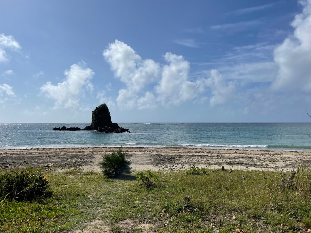 今日の嘉陽海岸