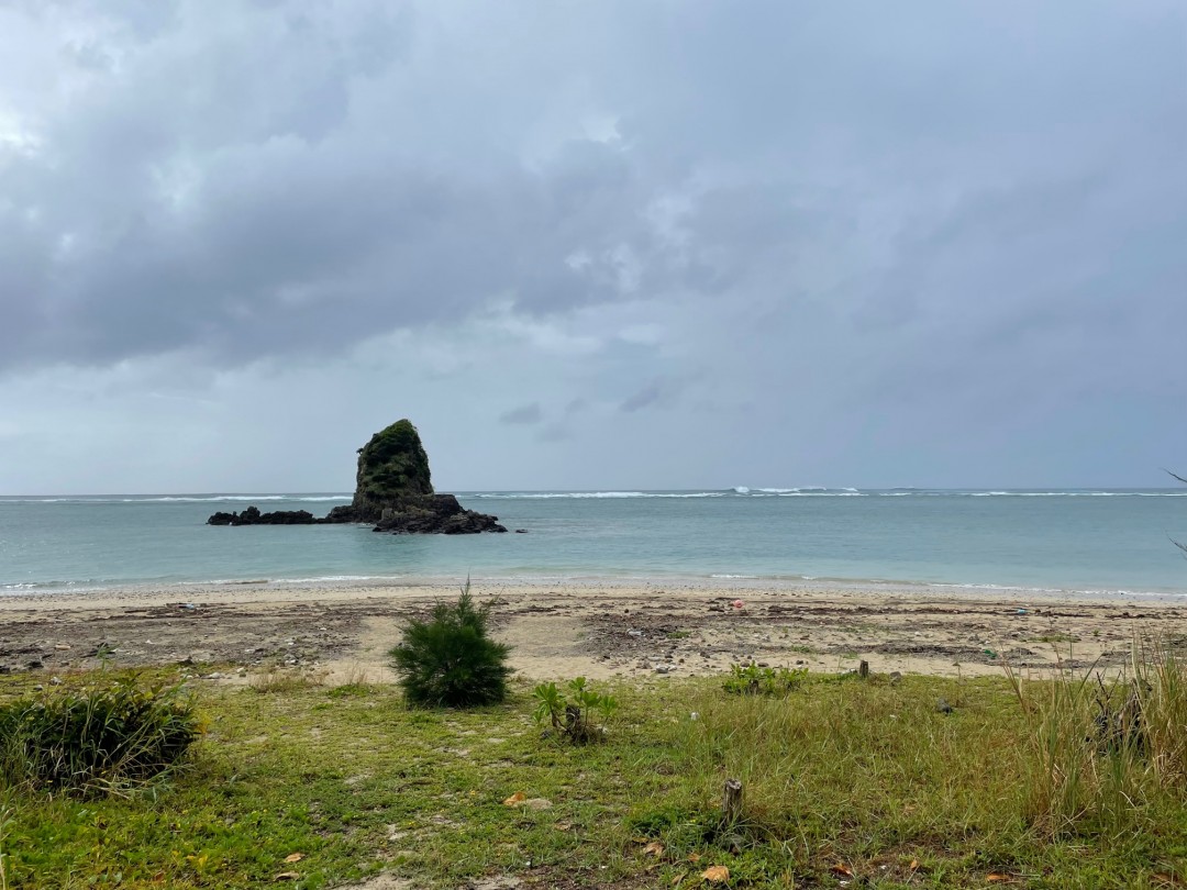 今日の嘉陽海岸