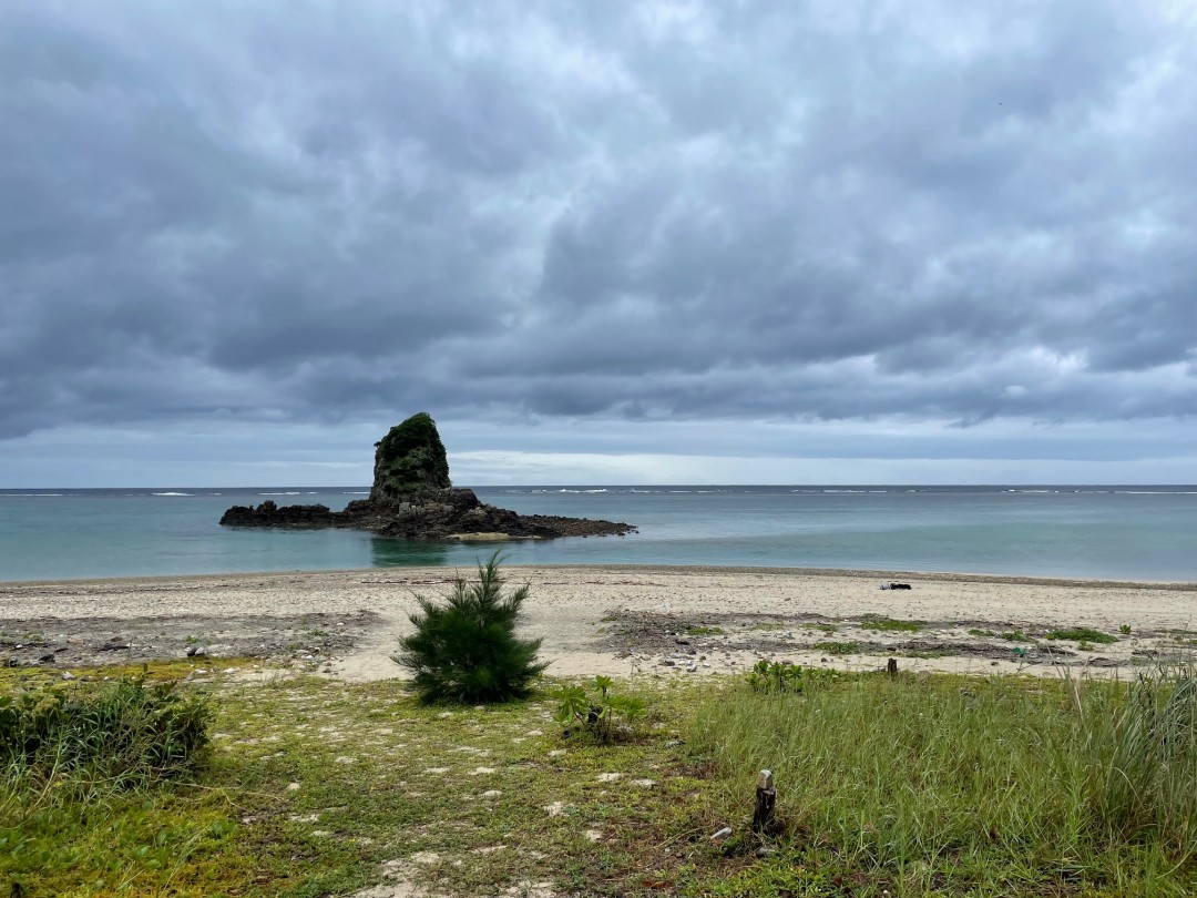 今日の嘉陽海岸