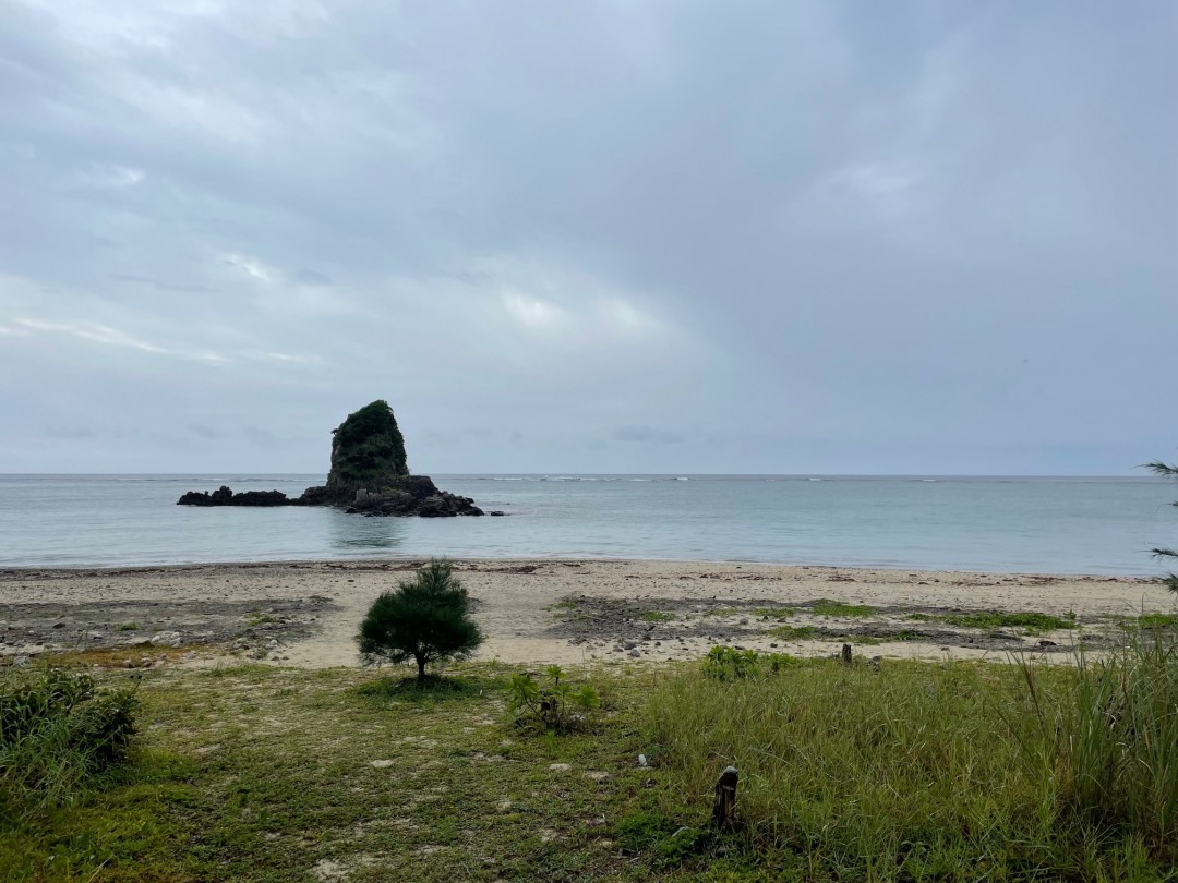 今日の嘉陽海岸