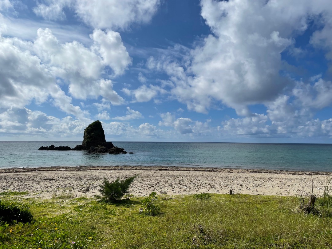 今日の嘉陽海岸