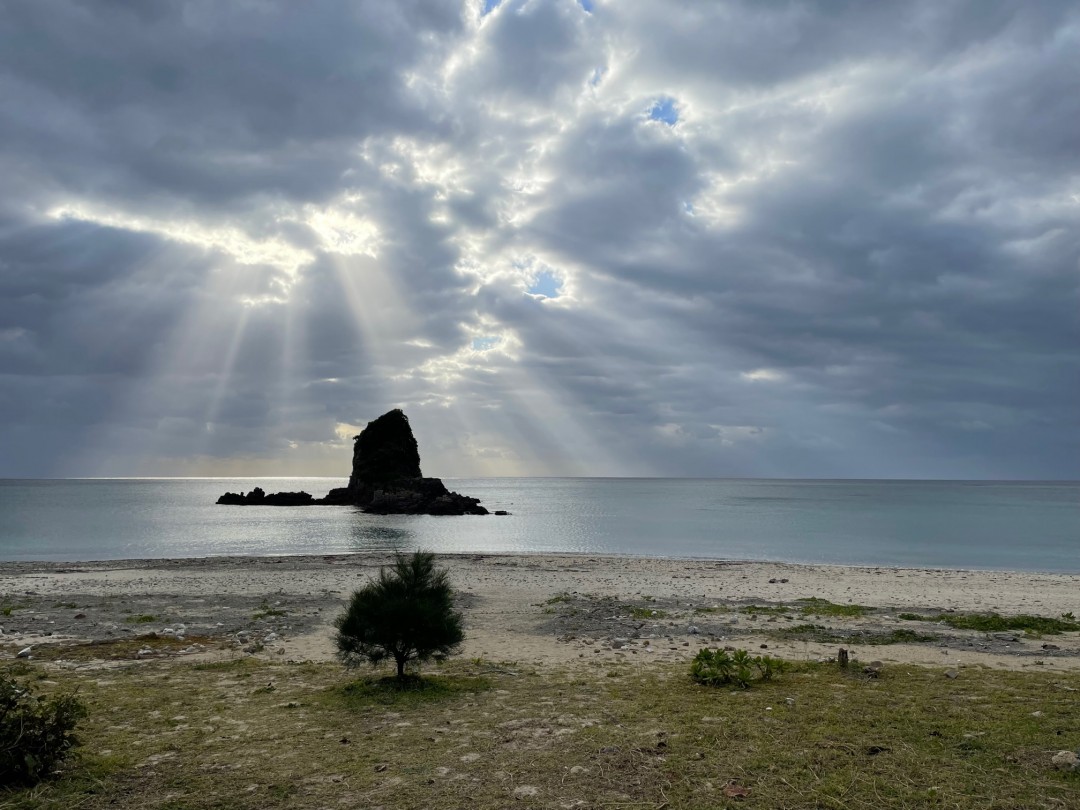 今日の嘉陽海岸