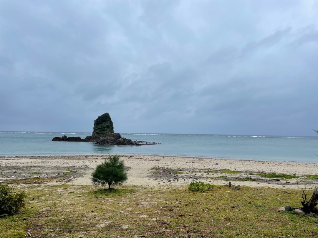 今日の嘉陽海岸