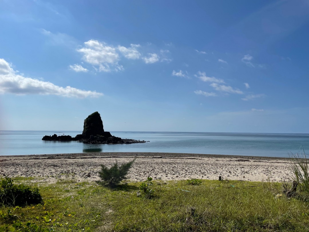 今日の嘉陽海岸