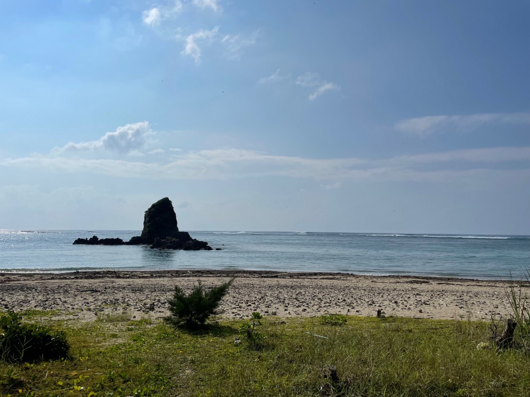 今日の嘉陽海岸