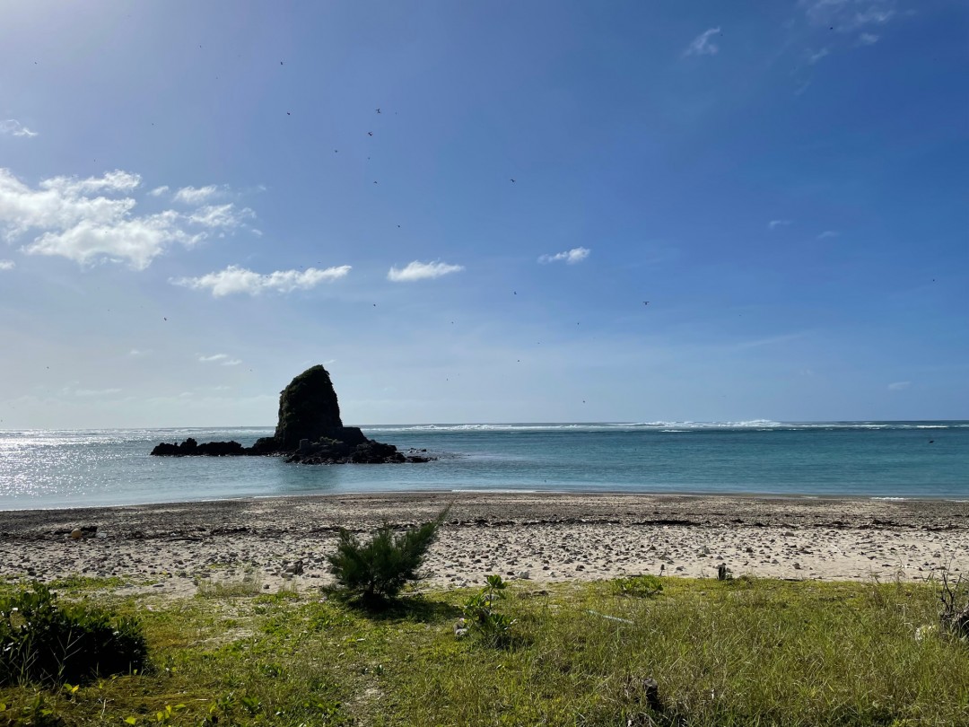 今日の嘉陽海岸