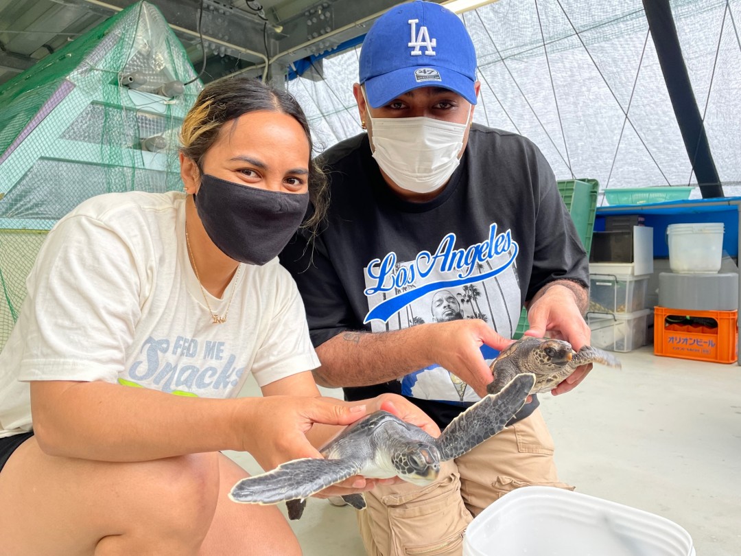 ウミガメ飼育しちょーんどー！～エサやり編～レポート②