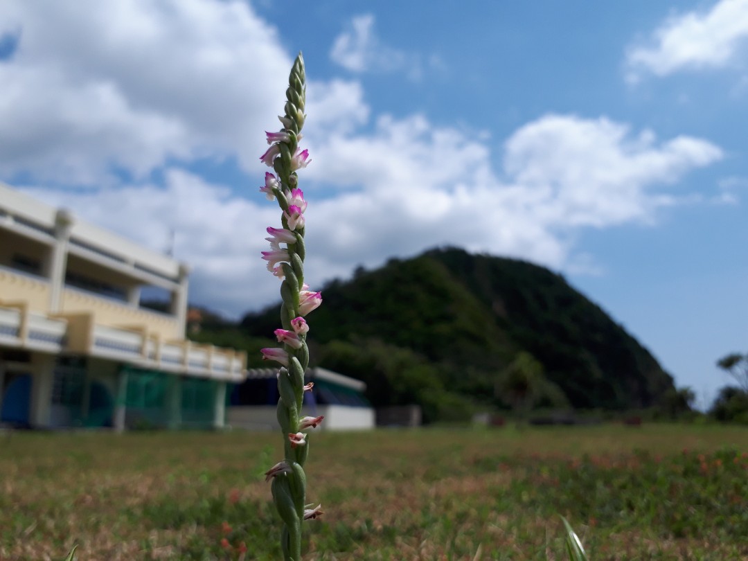 ある日の学校～よく晴れた日に～