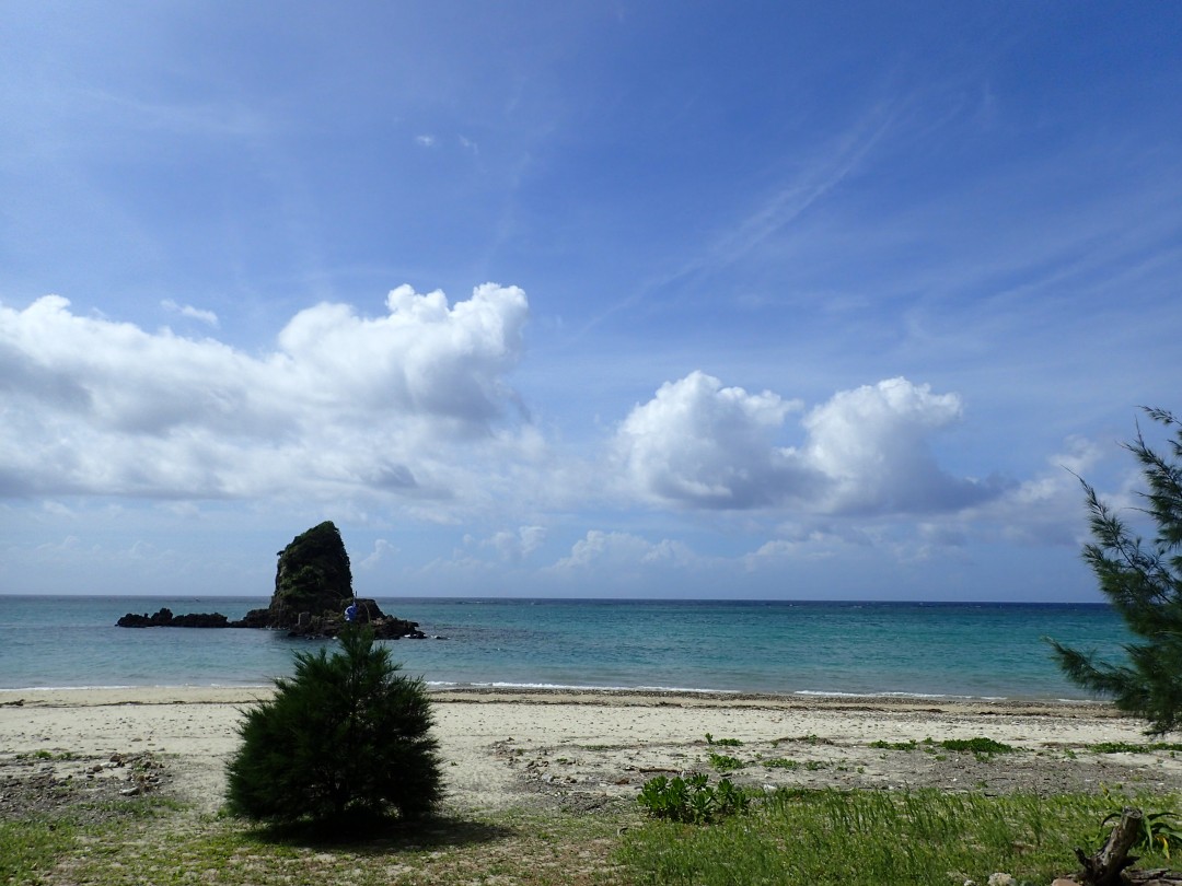 今日の嘉陽海岸