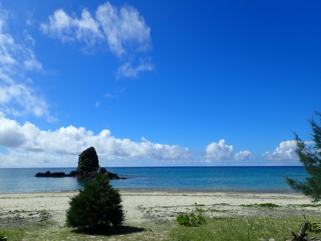 今日の嘉陽海岸