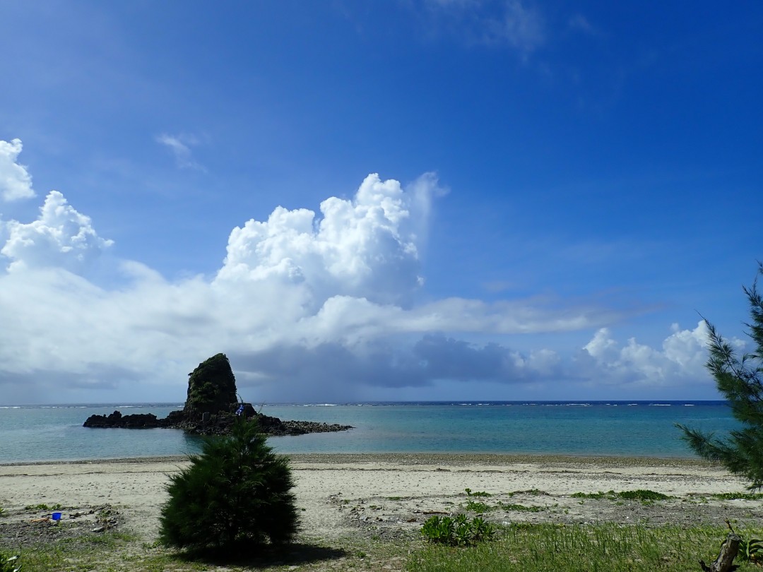 今日の嘉陽海岸