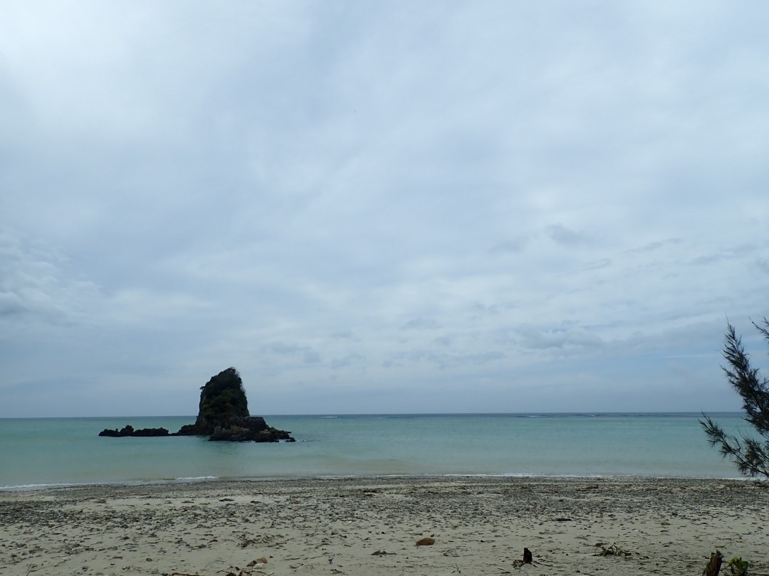 今日の嘉陽海岸