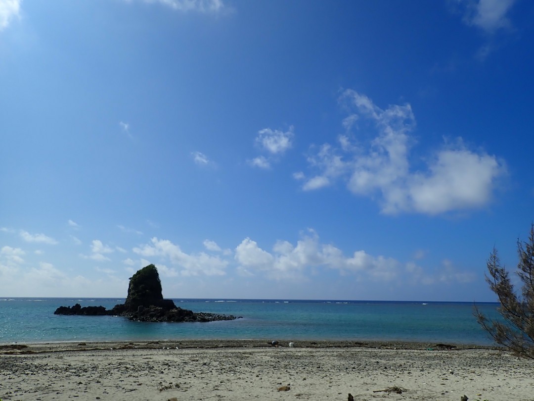 今日の嘉陽海岸