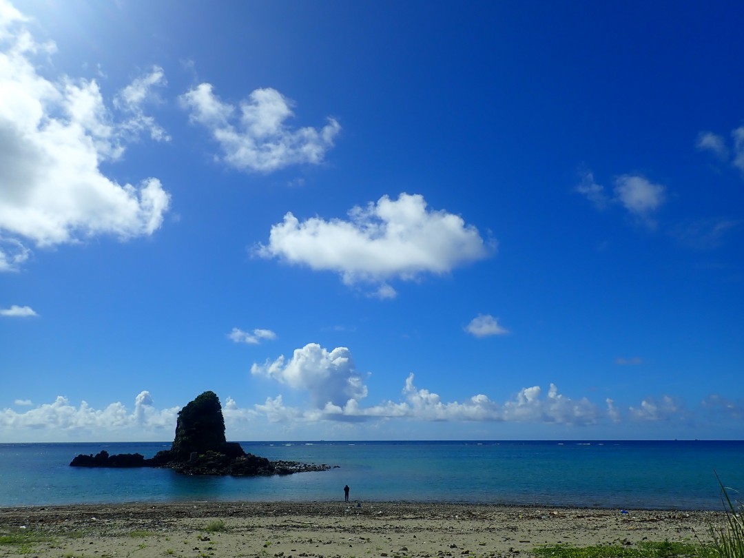 今日の嘉陽海岸