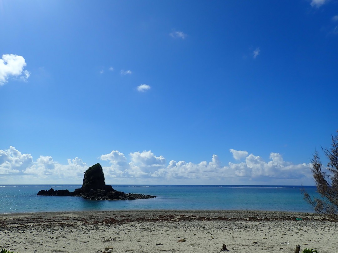 今日の嘉陽海岸