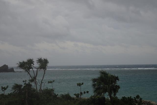 台風！来てます！？