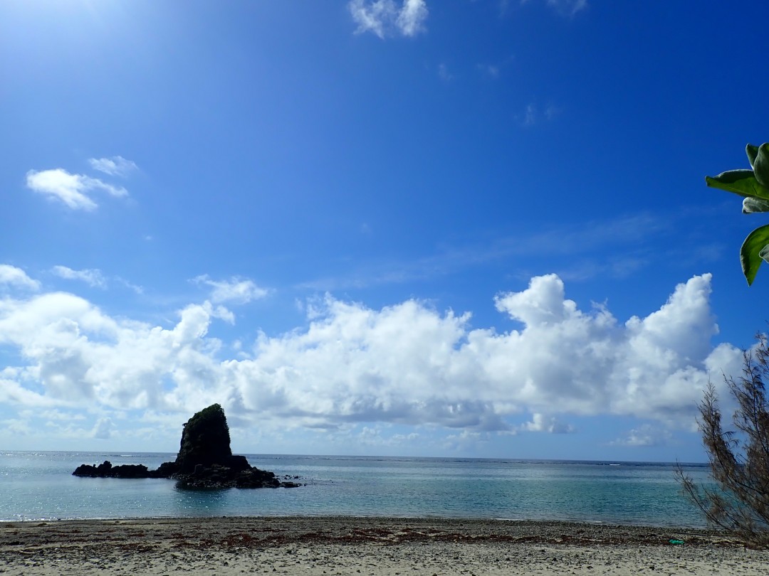 今日の嘉陽海岸