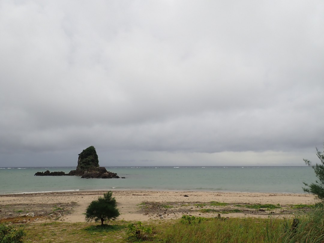 今日の嘉陽海岸