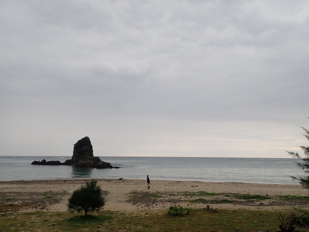 今日の嘉陽海岸