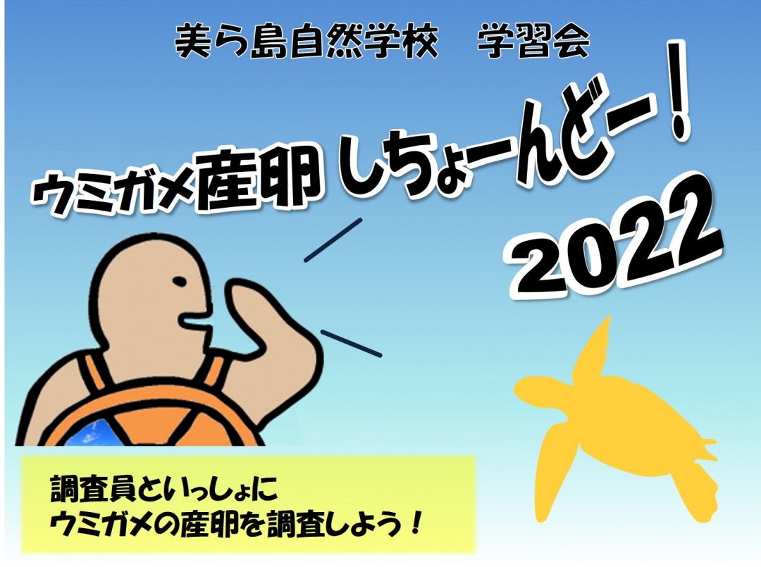 【受付終了！】ウミガメの産卵調査に参加できる学習会！開催！