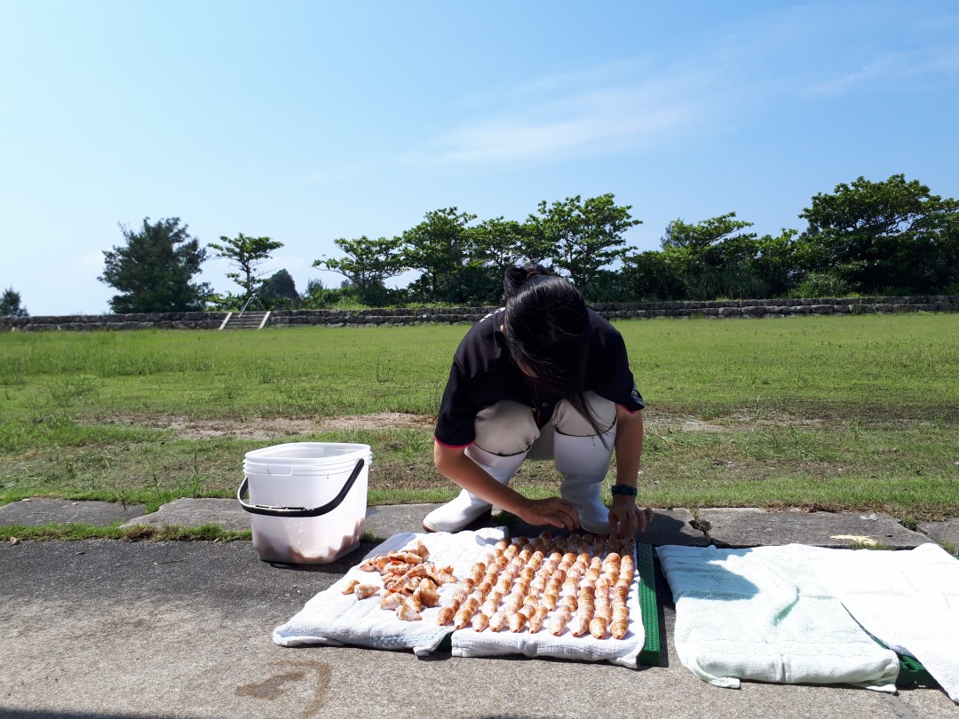 ある日の学校～てぃらじゃー干しました～