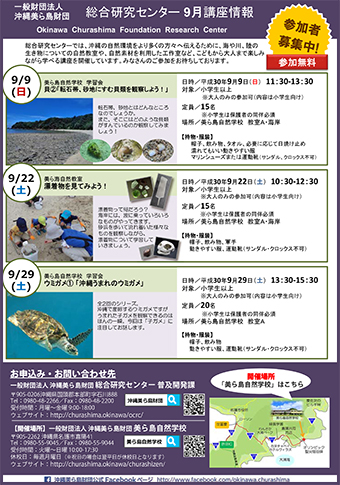 9/9開催！美ら島自然学校 学習会　転石帯、砂地にすむ貝類を観察しよう！