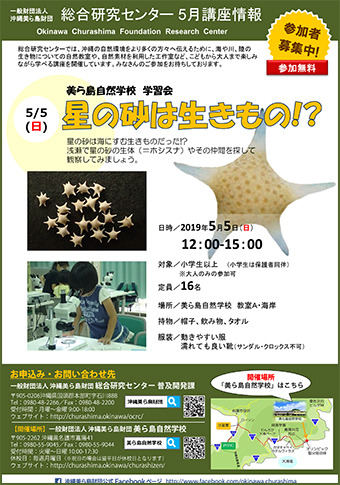 5/5開催！美ら島自然学校 学習会－有孔虫（1）－ 星の砂は生きもの！？