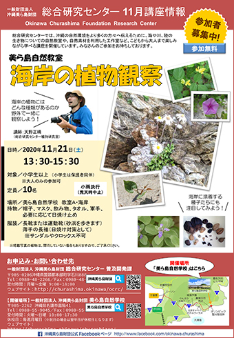 11/21開催！海岸の植物観察