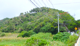 遺跡であり、聖地でもある「ウイグスク(上城)」